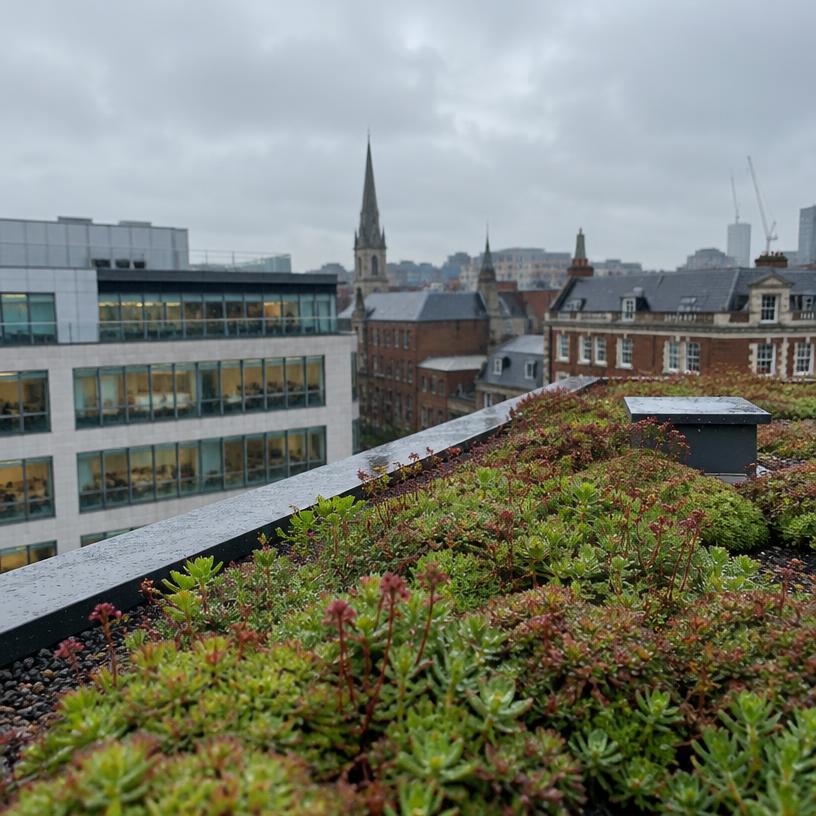 Green Infrastructure Desk